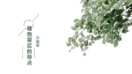 生物课前演讲PPT