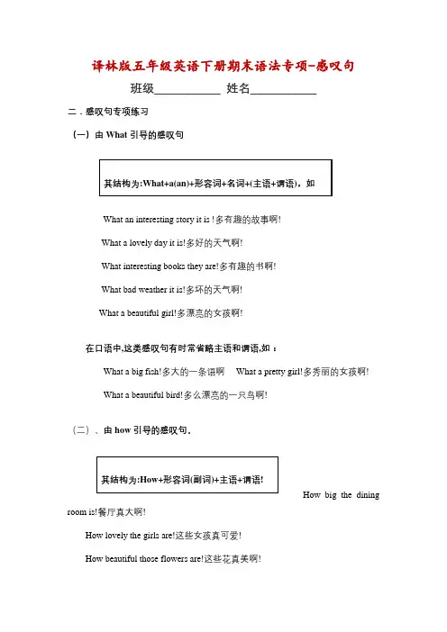 五年级下册英语期末复习语法专项——感叹句-含答案 译林三起
