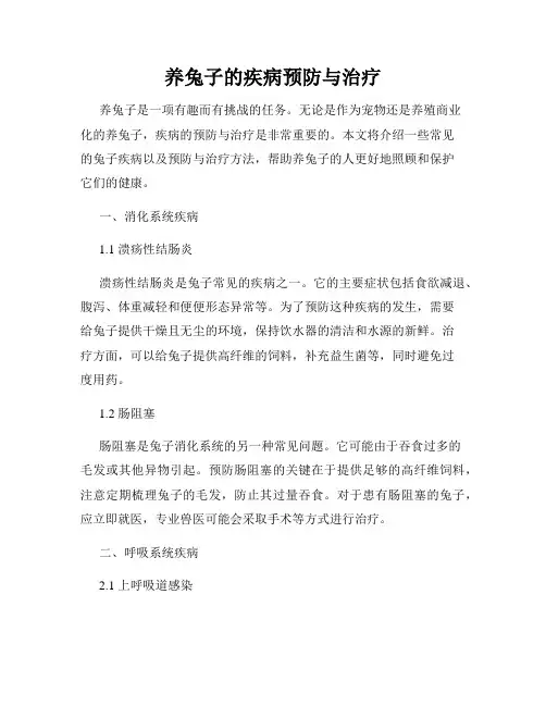 养兔子的疾病预防与治疗
