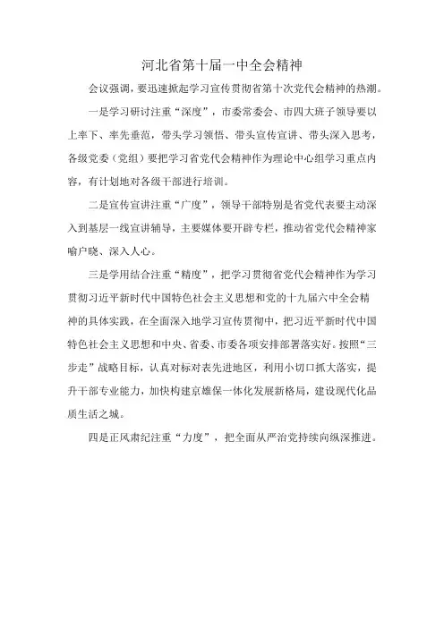 河北省第十届一中全会精神