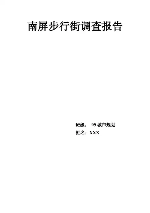 南坪步行街调查报告