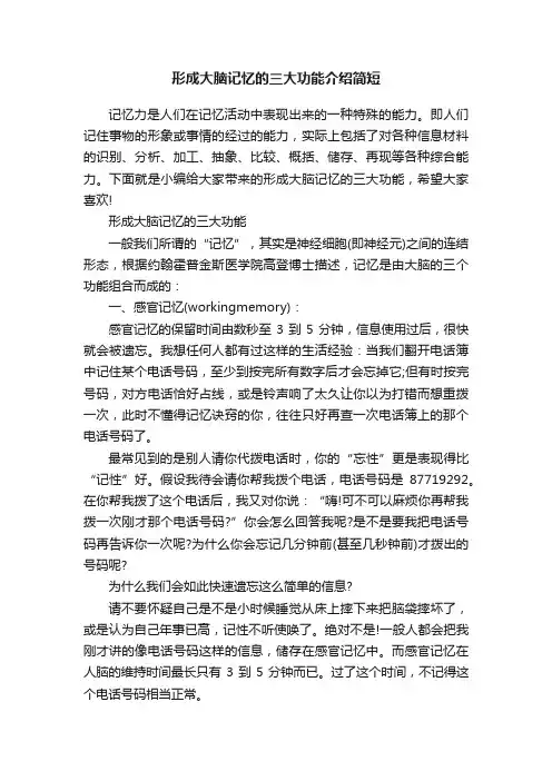 形成大脑记忆的三大功能介绍简短