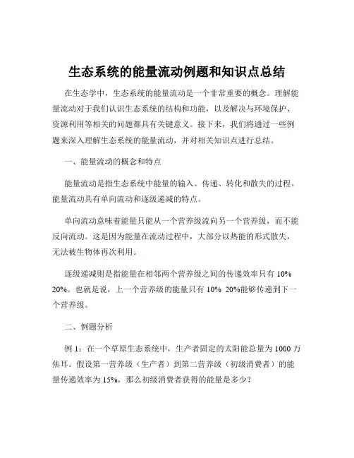 生态系统的能量流动例题和知识点总结