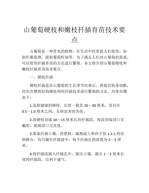 山葡萄硬枝和嫩枝扦插育苗技术要点