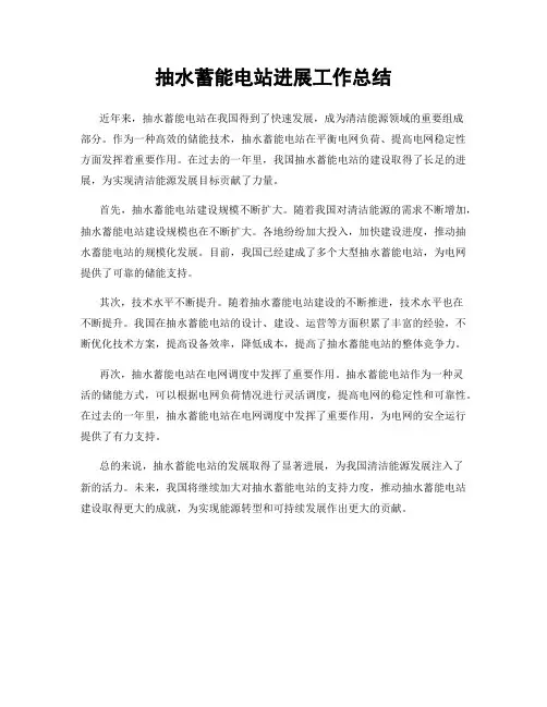 抽水蓄能电站进展工作总结