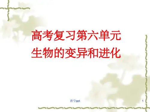 复习生物的变异和进化