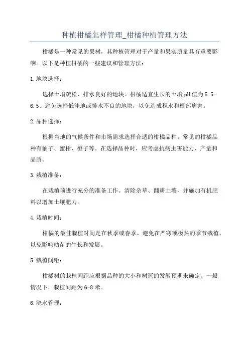 种植柑橘怎样管理_柑橘种植管理方法