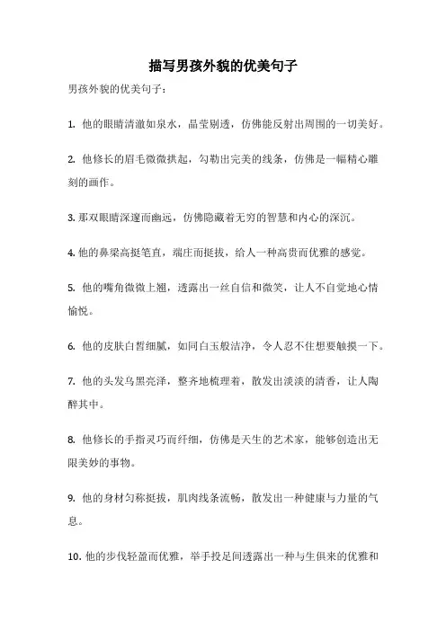 描写男孩外貌的优美句子