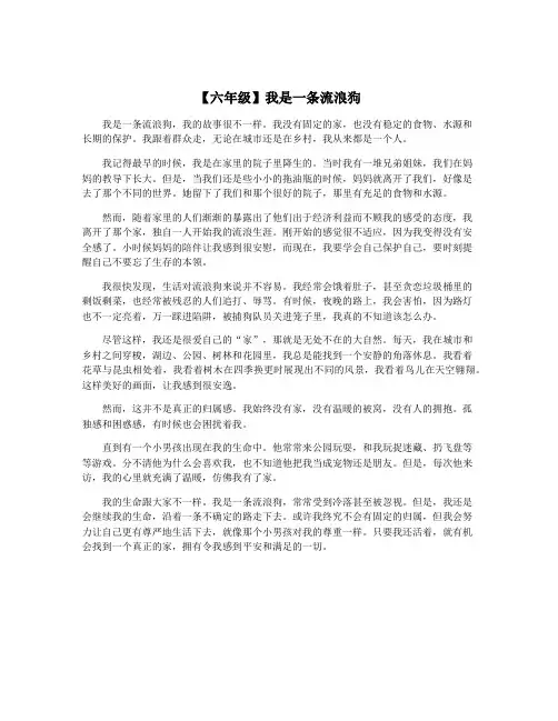 【六年级】我是一条流浪狗