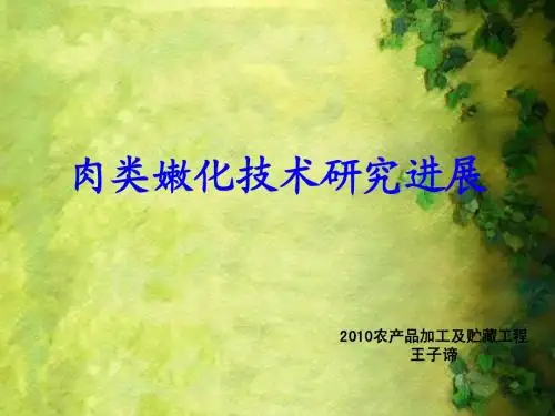肉类嫩化技术研究