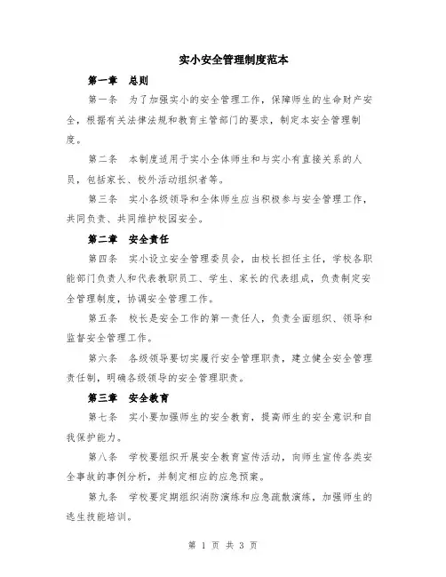 实小安全管理制度范本