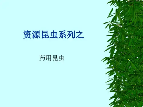 药用昆虫