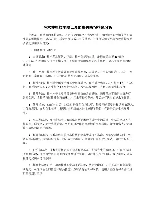 楠木种植技术要点及病虫害防治措施分析