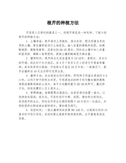 根芹的种植方法