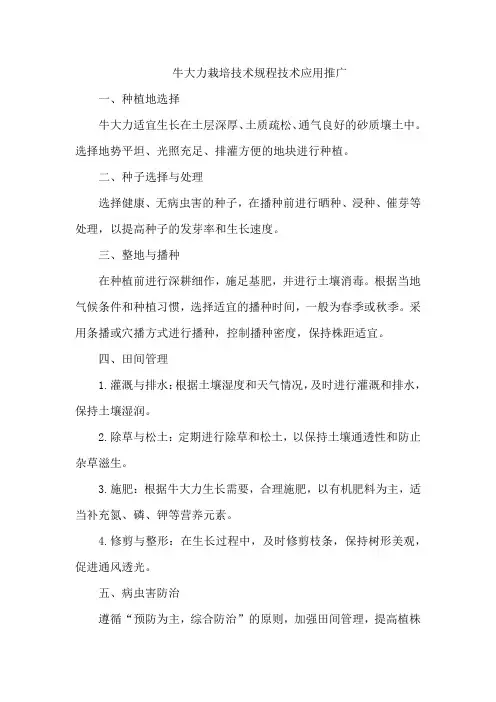 牛大力栽培技术规程技术应用推广