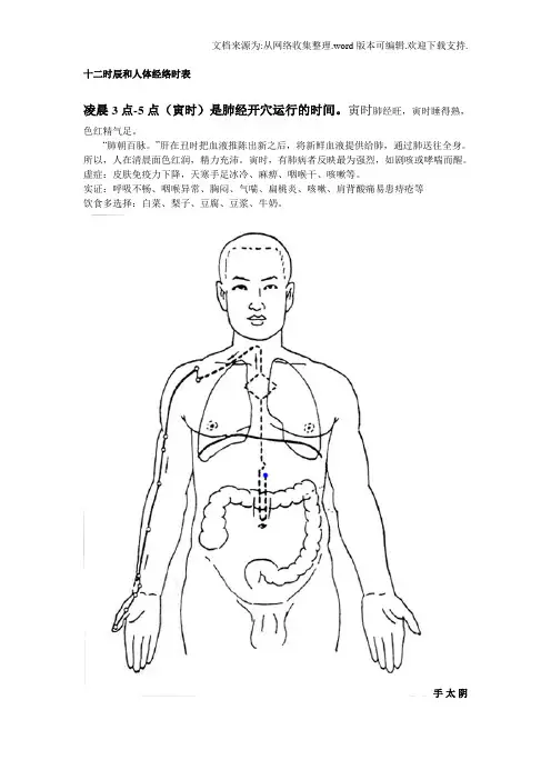 十二时辰和人体经络时