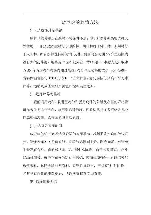 放养鸡的养殖方法