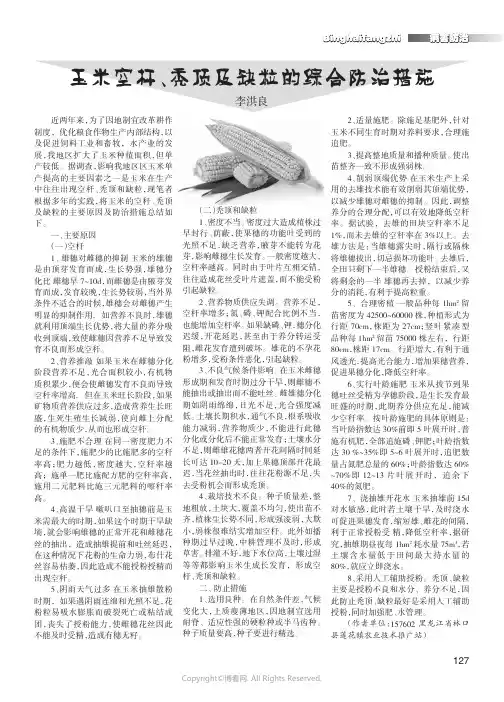 玉米空杆、秃顶及缺粒的综合防治措施