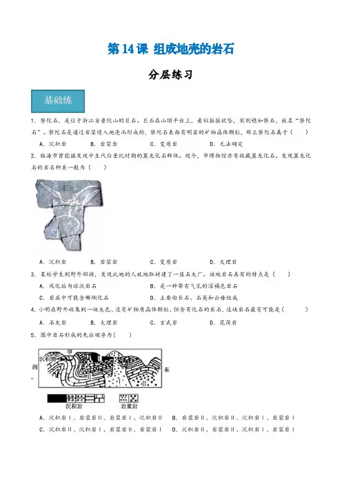 浙教版七年级科学上册同步精品课堂第14讲《组成地壳的岩石》(分层练习)(原卷版+解析)