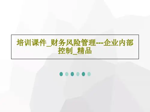 培训课件_财务风险管理---企业内部控制_精品130页PPT