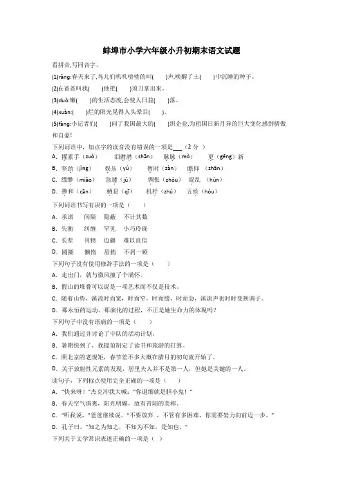 蚌埠市小学六年级小升初期末语文试题