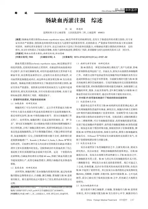 肠缺血再灌注损伤综述
