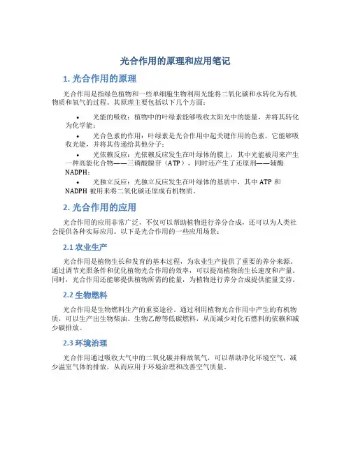 光合作用的原理和应用笔记