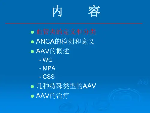 ANCA相关小血管炎优秀课件