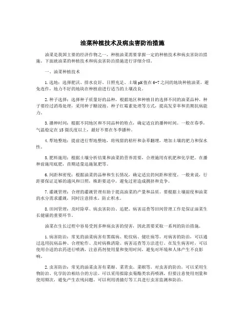 油菜种植技术及病虫害防治措施