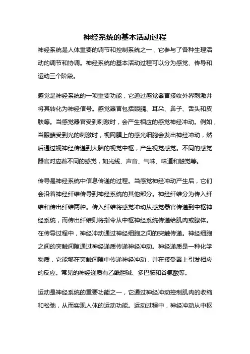 神经系统的基本活动过程