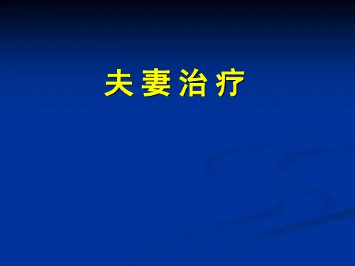 夫妻治疗