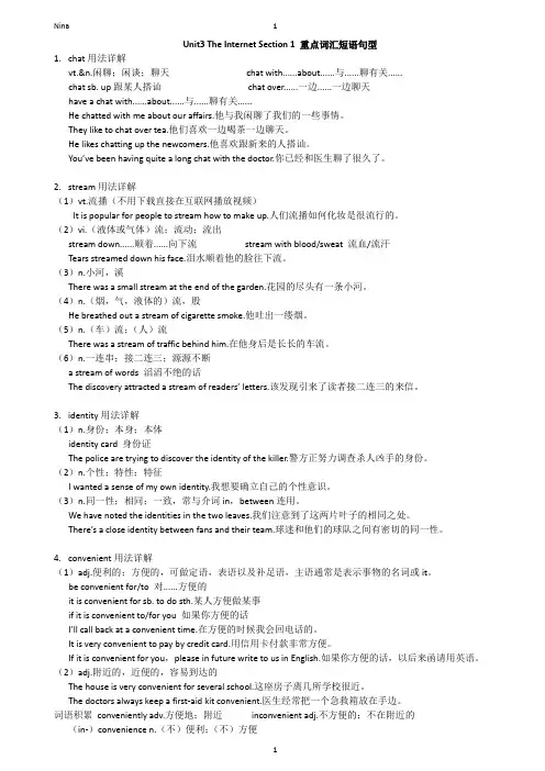 新高考教材高中英语必修2-unit3-The Internet Section1 重点词汇短语语法