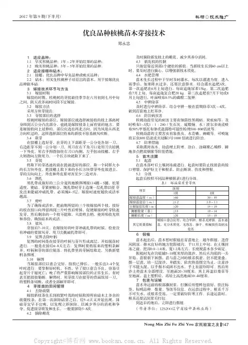 优良品种核桃苗木芽接技术