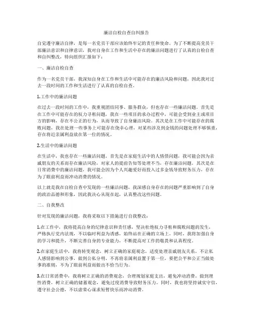 廉洁自检自查自纠报告