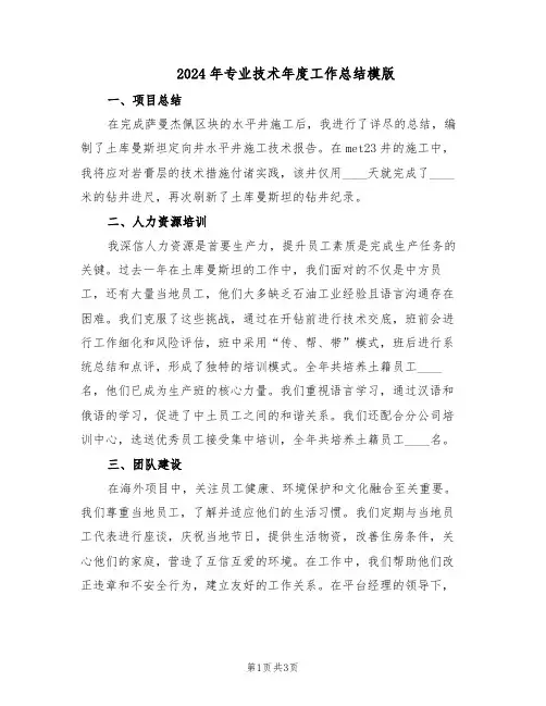 2024年专业技术年度工作总结模版(二篇)