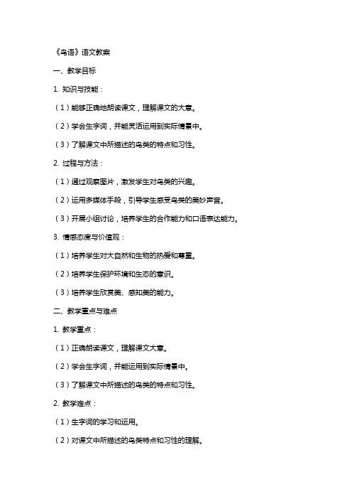 《鸟语》语文教案