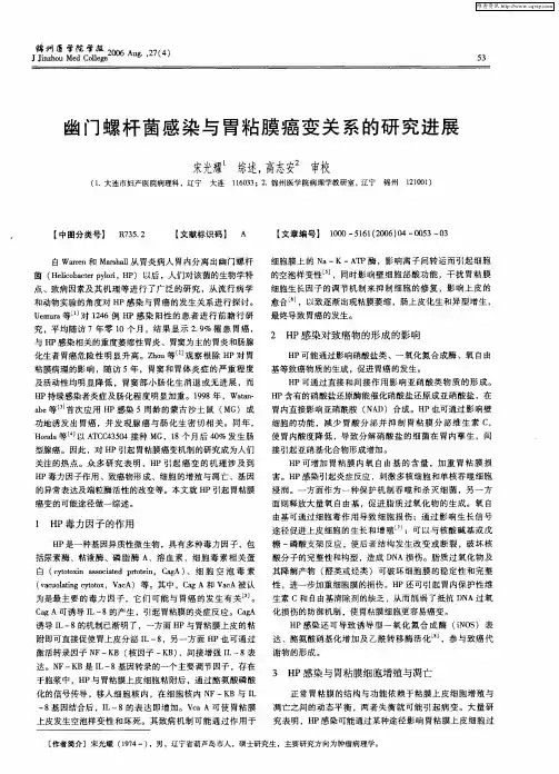 幽门螺杆菌感染与胃粘膜癌变关系的研究进展