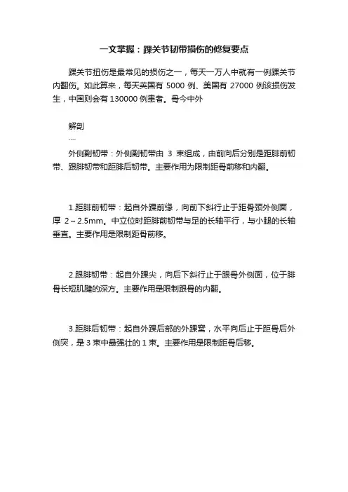 一文掌握：踝关节韧带损伤的修复要点