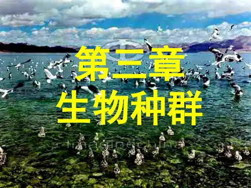 第三章 生物种群
