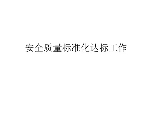 上海市安全质量标准化达标工作流程演示