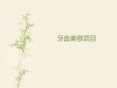 牙齿美容项目PPT课件