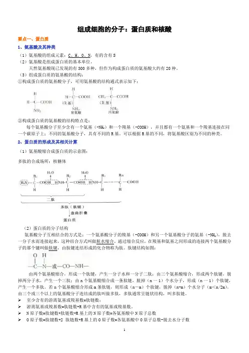 必修一第二章核酸和蛋白质知识讲解