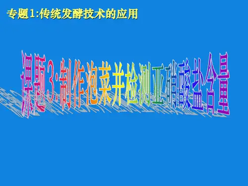 制作泡菜并检验亚硝酸盐含量ppt课件