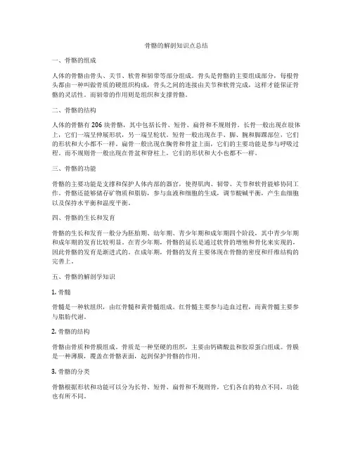骨骼的解剖知识点总结
