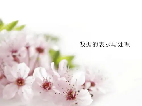 2.2数据的表示与处理