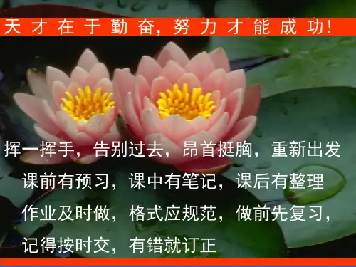 高中数学集合的概念1.1.1课件人教版必修一(共25张PPT)