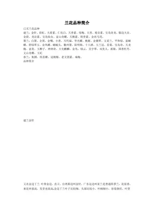 兰花普通品种介绍