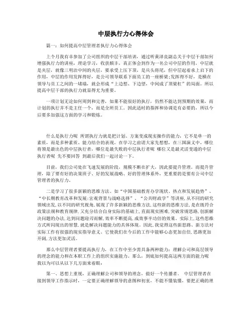 中层执行力心得体会