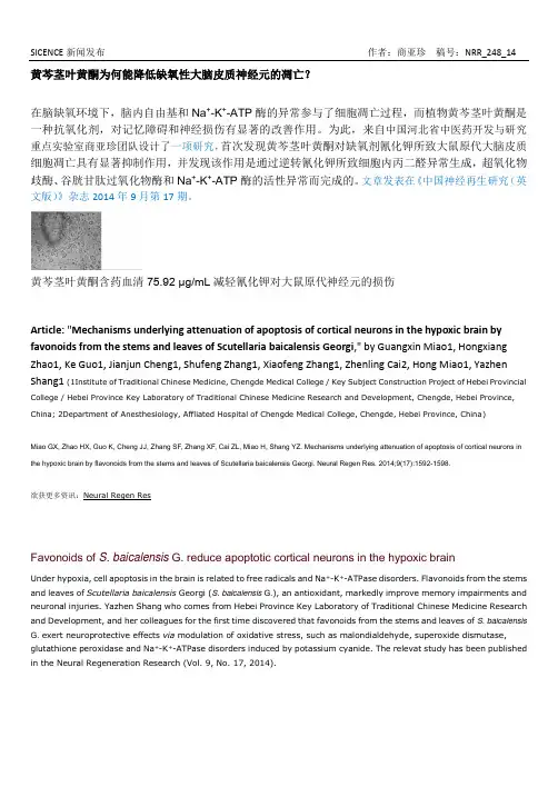 黄芩茎叶黄酮为何能降低缺氧性大脑皮质神经元的凋亡？