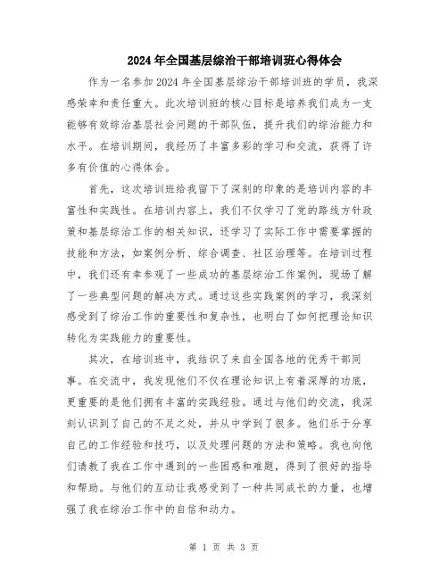 2024年全国基层综治干部培训班心得体会